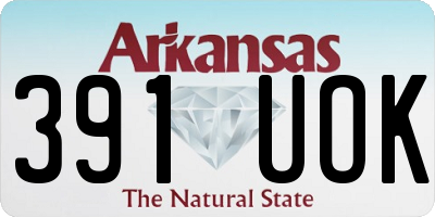 AR license plate 391UOK