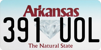 AR license plate 391UOL