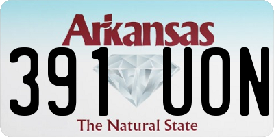 AR license plate 391UON