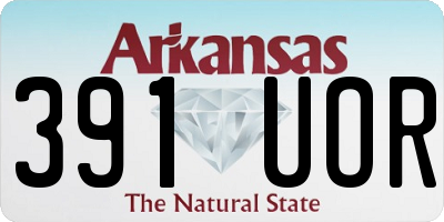 AR license plate 391UOR