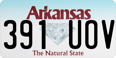 AR license plate 391UOV
