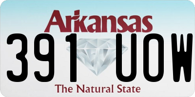 AR license plate 391UOW