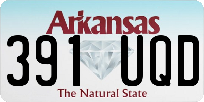 AR license plate 391UQD
