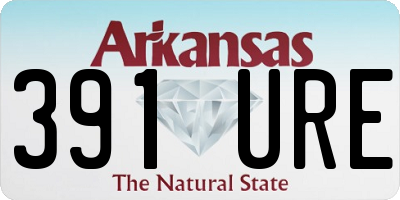 AR license plate 391URE