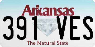 AR license plate 391VES