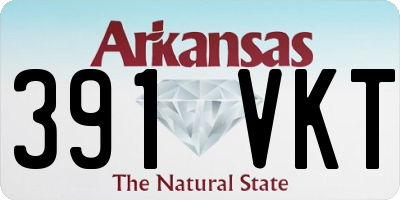 AR license plate 391VKT