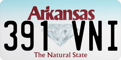 AR license plate 391VNI