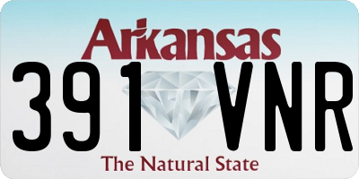 AR license plate 391VNR