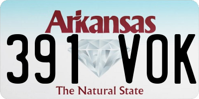 AR license plate 391VOK