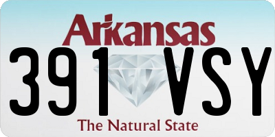 AR license plate 391VSY