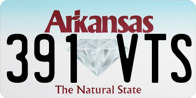 AR license plate 391VTS