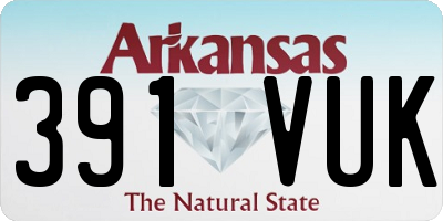 AR license plate 391VUK