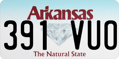 AR license plate 391VUO