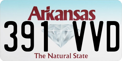 AR license plate 391VVD