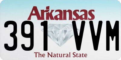 AR license plate 391VVM