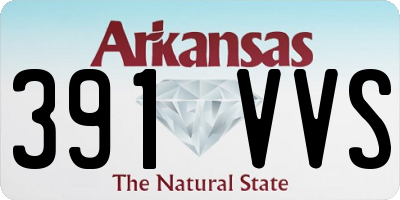 AR license plate 391VVS