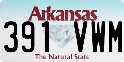 AR license plate 391VWM