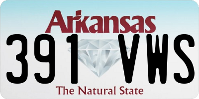 AR license plate 391VWS
