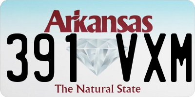 AR license plate 391VXM
