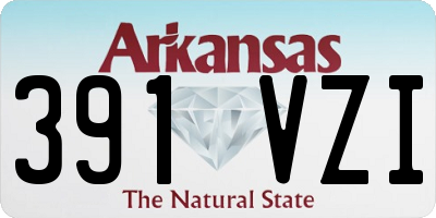 AR license plate 391VZI