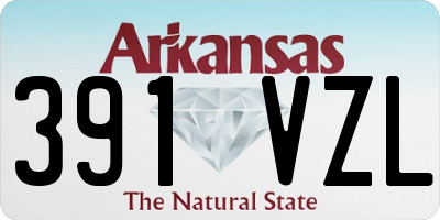AR license plate 391VZL