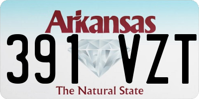 AR license plate 391VZT