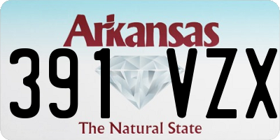 AR license plate 391VZX