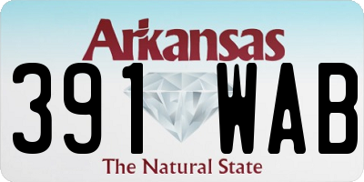 AR license plate 391WAB