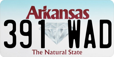 AR license plate 391WAD