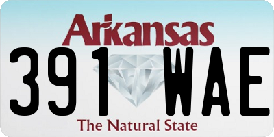 AR license plate 391WAE