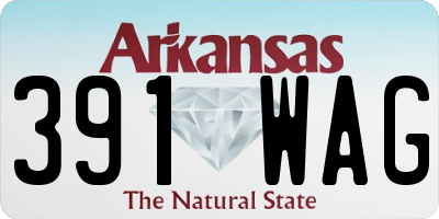 AR license plate 391WAG