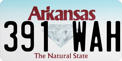 AR license plate 391WAH