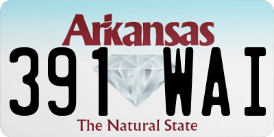 AR license plate 391WAI