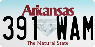AR license plate 391WAM