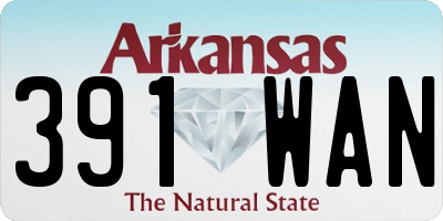 AR license plate 391WAN