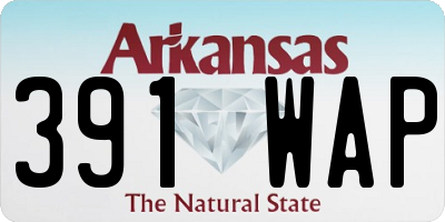 AR license plate 391WAP