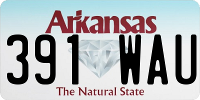 AR license plate 391WAU