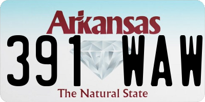 AR license plate 391WAW