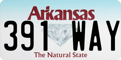 AR license plate 391WAY
