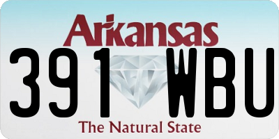 AR license plate 391WBU