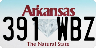 AR license plate 391WBZ