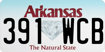 AR license plate 391WCB