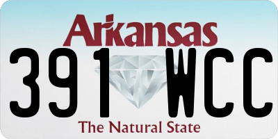 AR license plate 391WCC