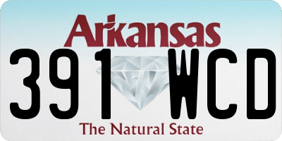 AR license plate 391WCD