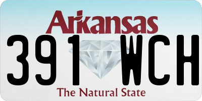 AR license plate 391WCH
