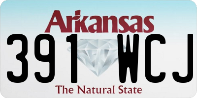 AR license plate 391WCJ