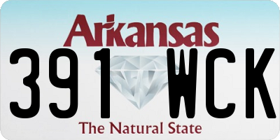 AR license plate 391WCK