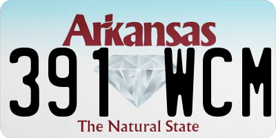 AR license plate 391WCM