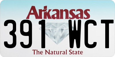 AR license plate 391WCT
