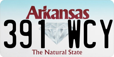 AR license plate 391WCY